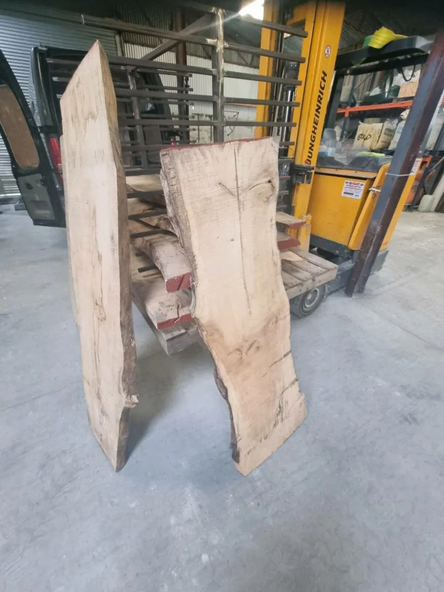 Live edge Sycamore - Image 3