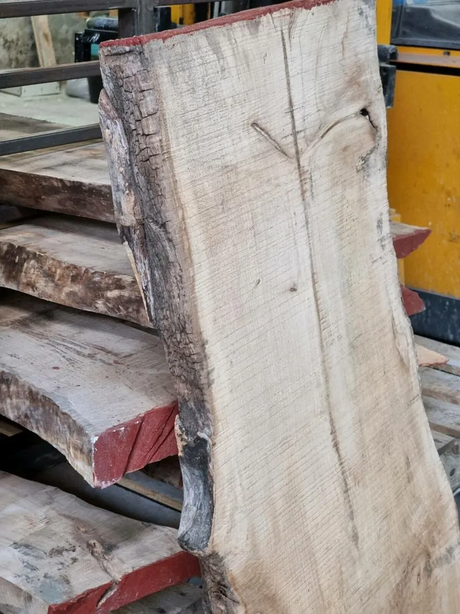 Live edge Sycamore - Image 4