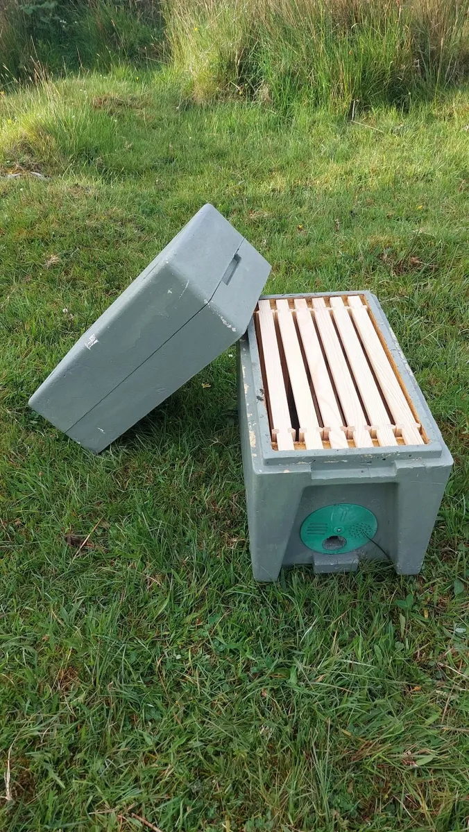2 National Polystyrene Nucleus + Queenless Bees - Image 3