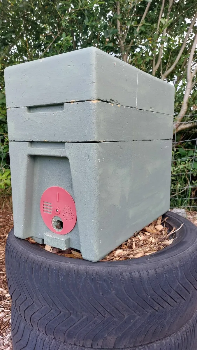 2 National Polystyrene Nucleus + Queenless Bees - Image 4