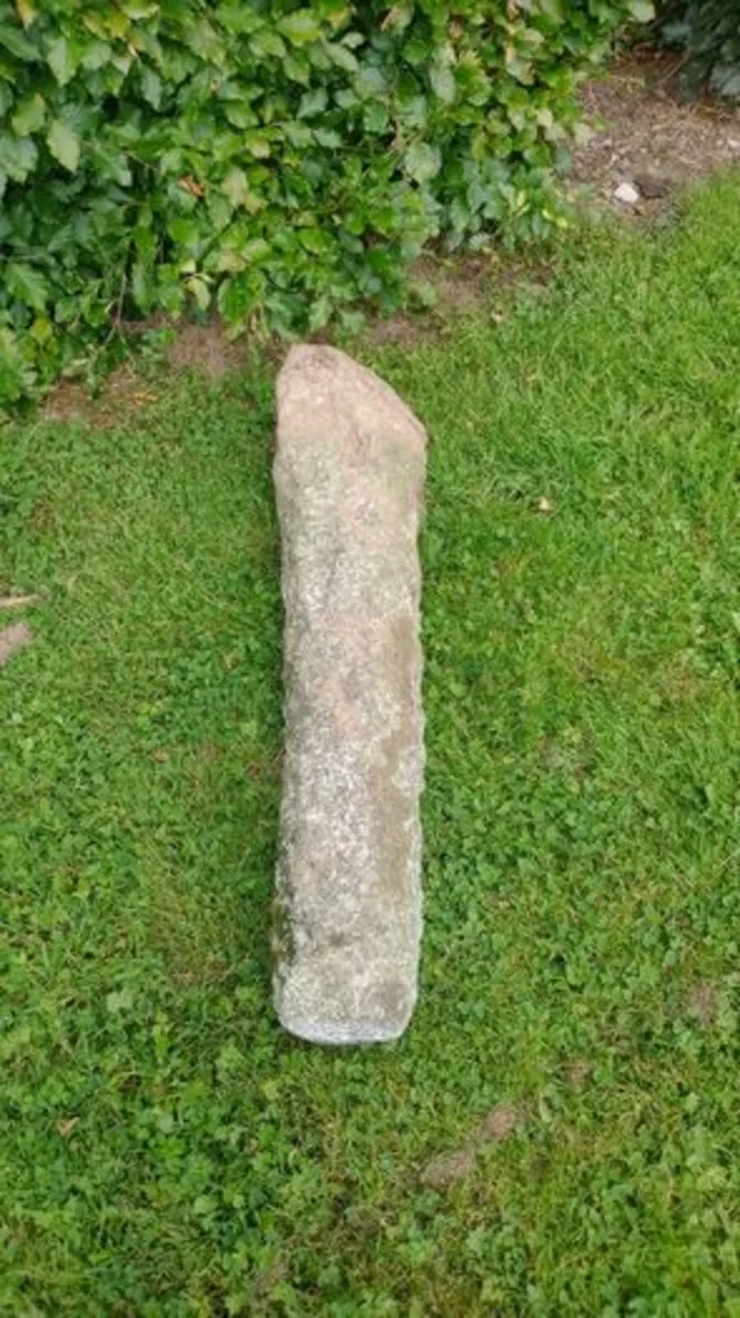 Mushroom Pedestals - Image 1