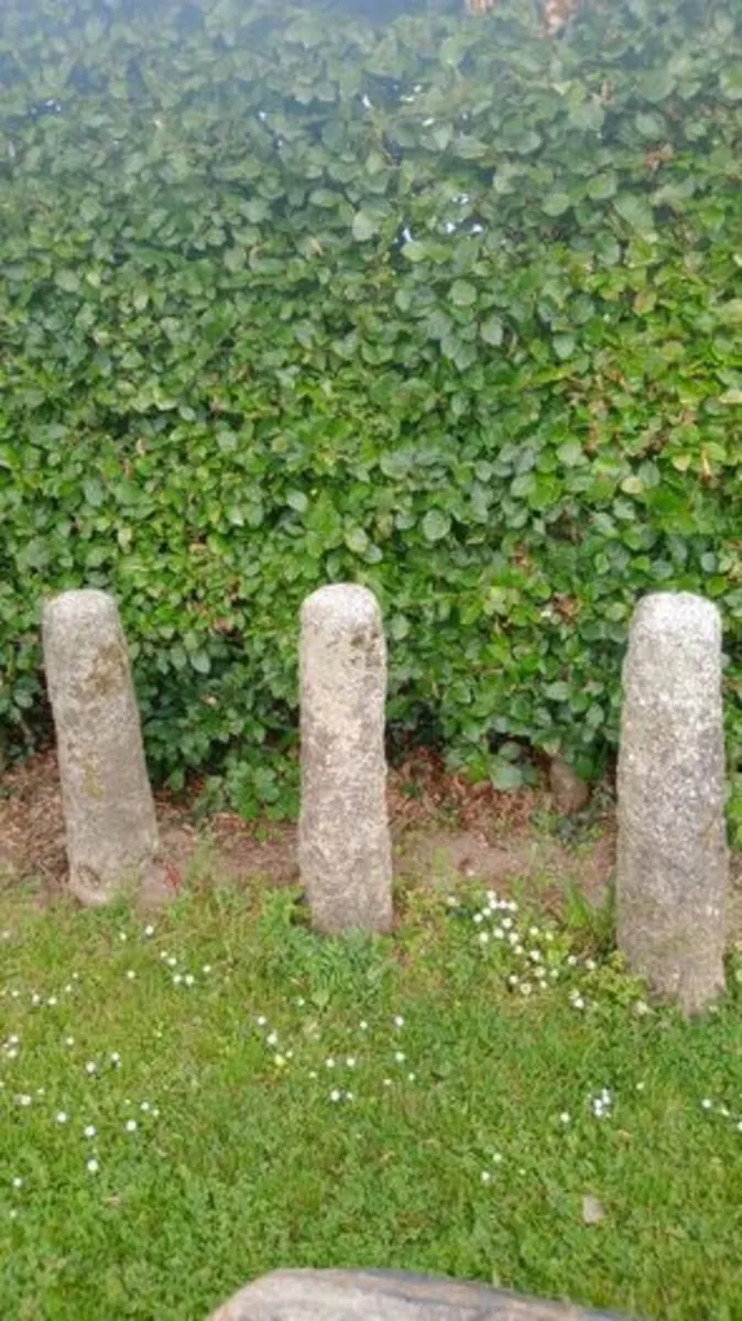 Mushroom Pedestals - Image 2