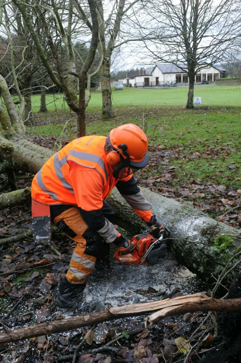 Affordable Chainsaw Operator