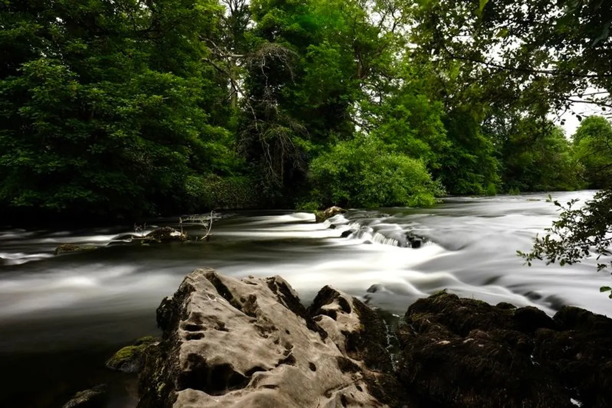 Progrey Filter Kit - Image 1