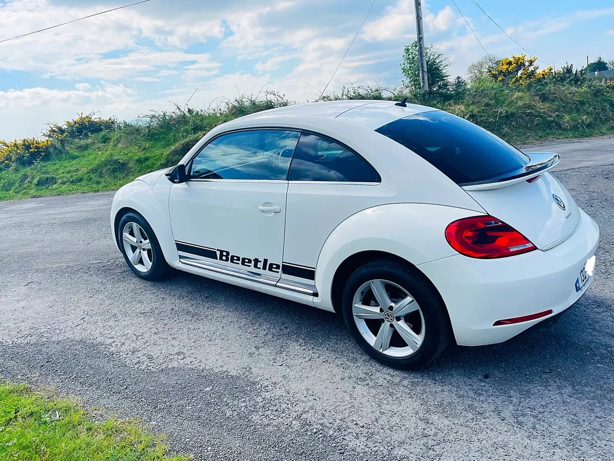 Volkswagen Beetle Sport - Image 4