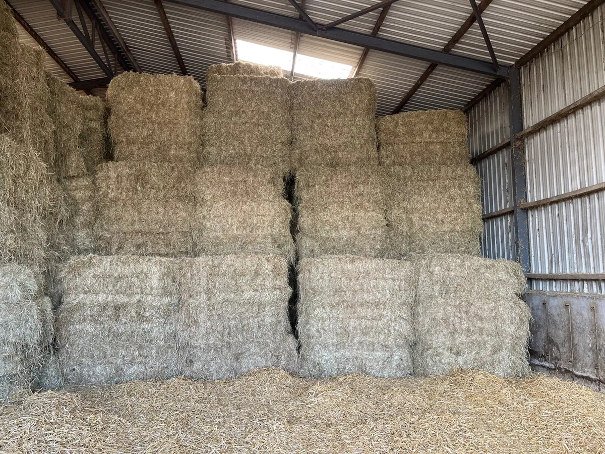 **TOP CLASS HORSE HAY 25** - Image 1