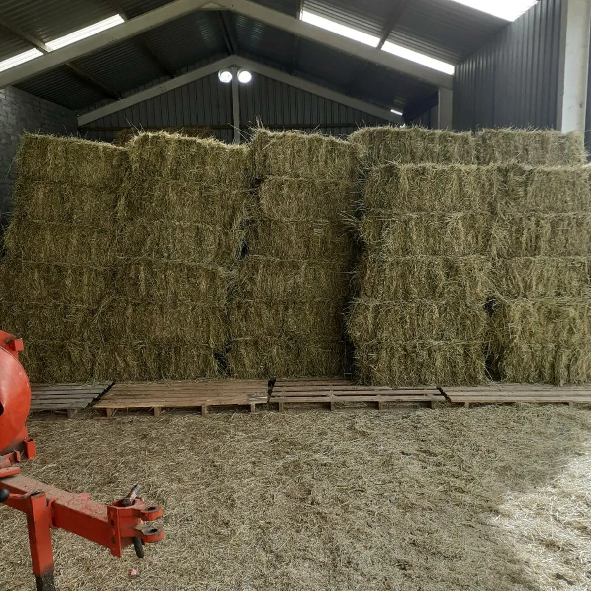 Horse hay.Small squares. - Image 1