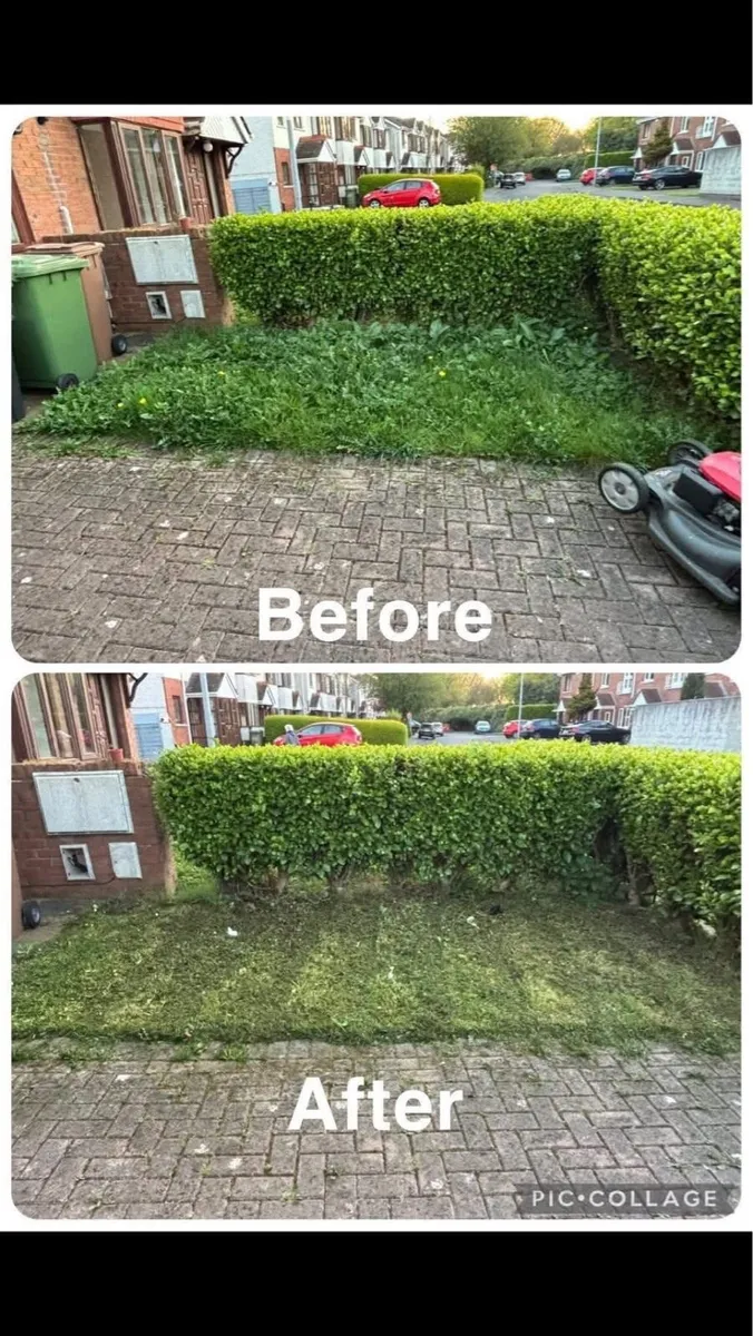 Higgins Garden services - Image 4