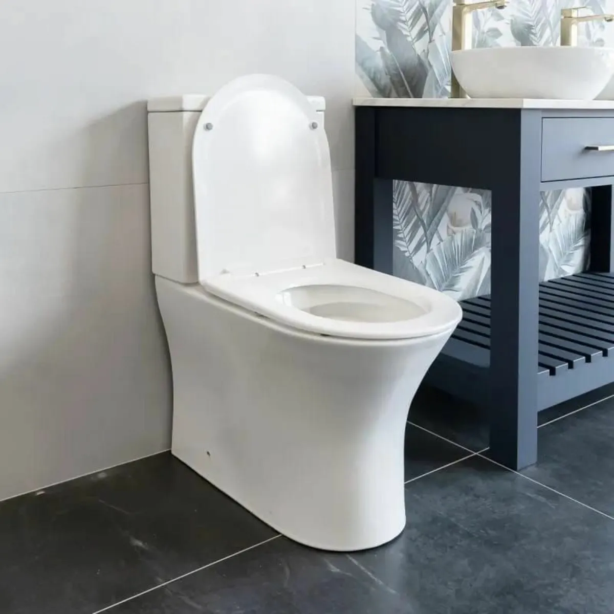 Back To Wall Rimless Toilet - Image 1