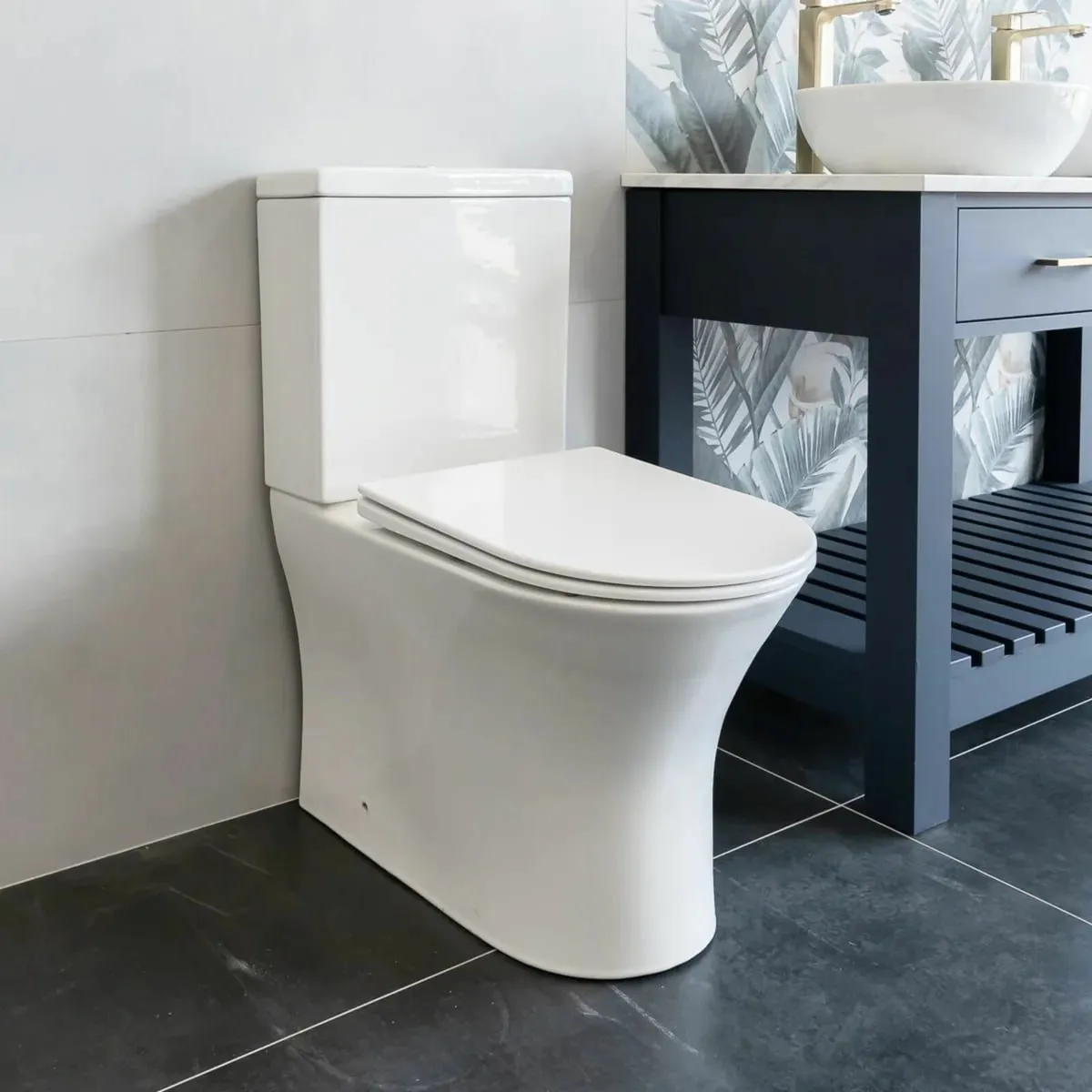Back To Wall Rimless Toilet - Image 2
