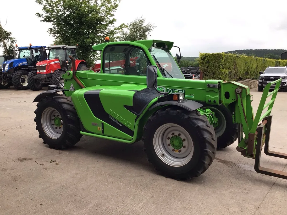 Merlo - Image 4