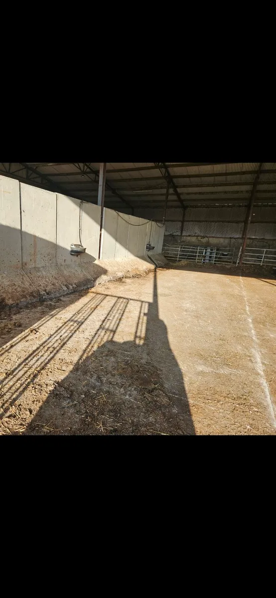 Shed to rent