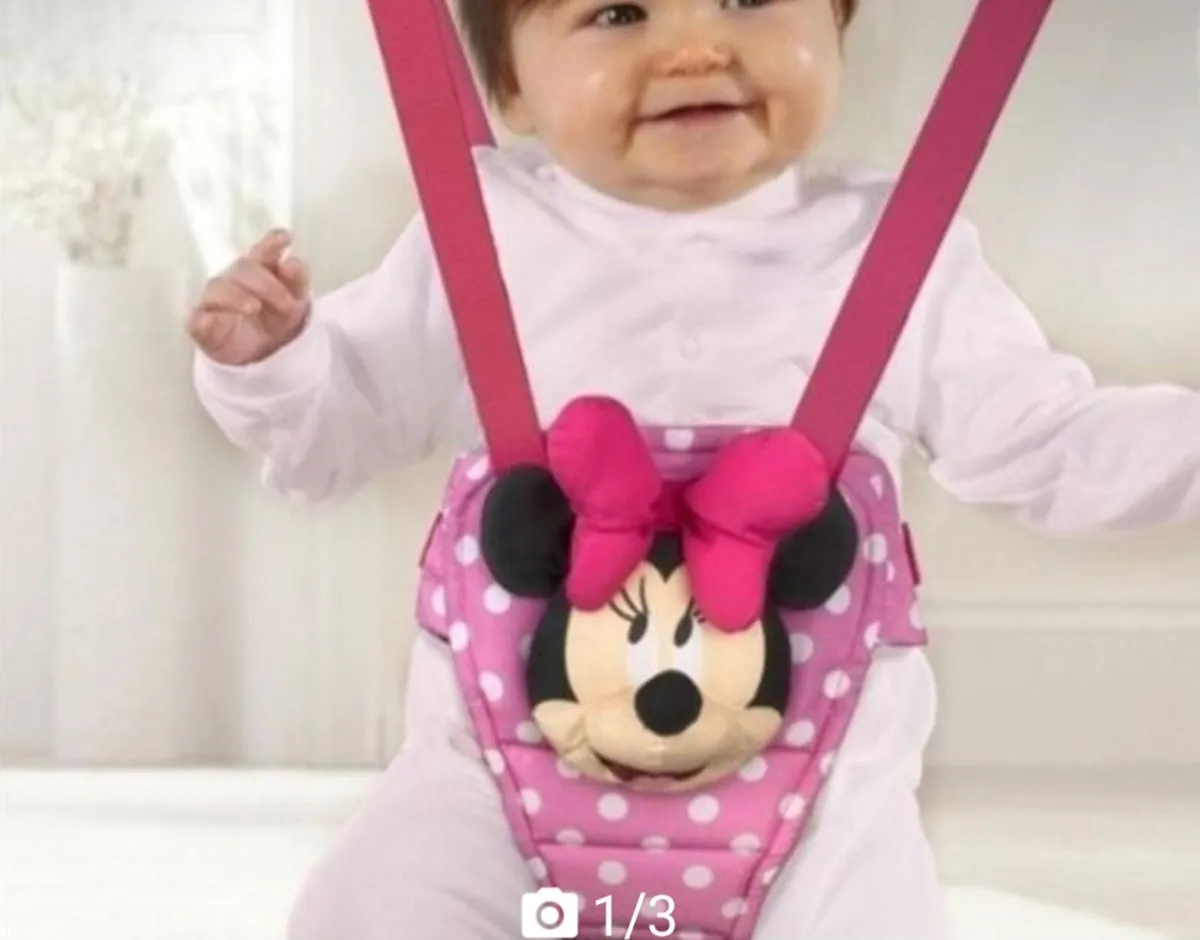 Minnie mouse door swing - Image 1