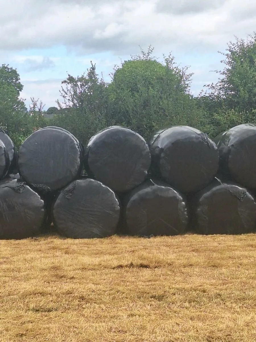 Bales silage - Image 1
