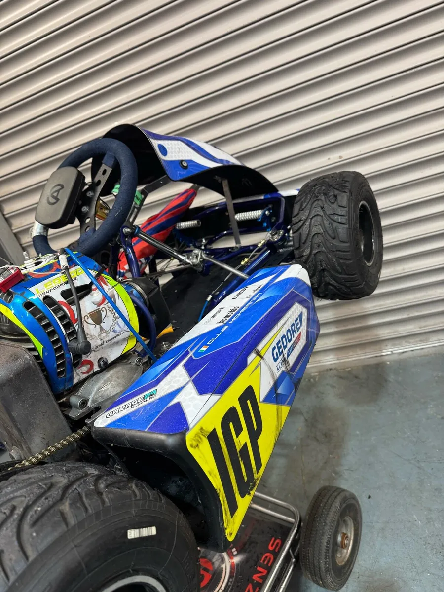 Bambino karts - Comer / Iame - Image 3