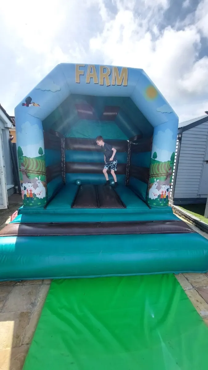 Bouncy Castle - Image 3