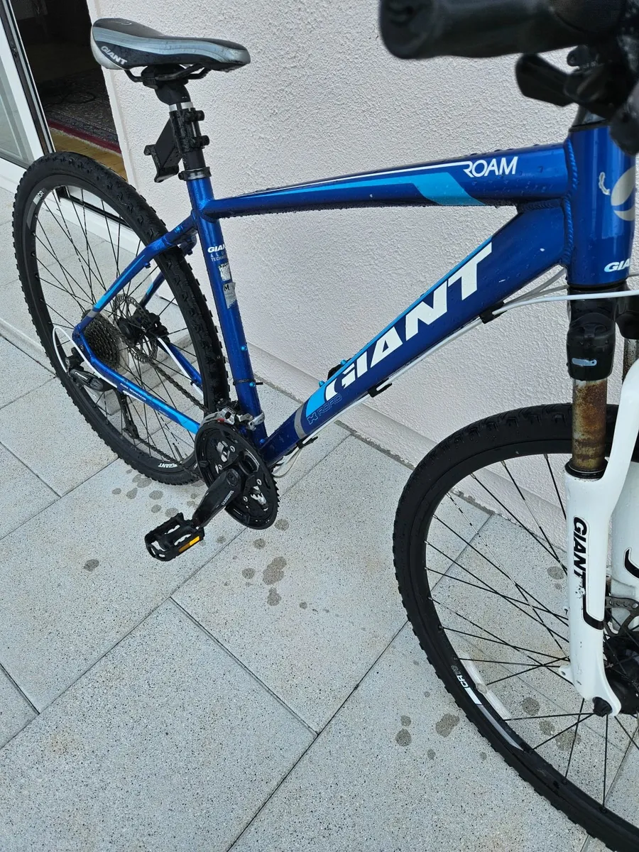Giant roam - Image 3