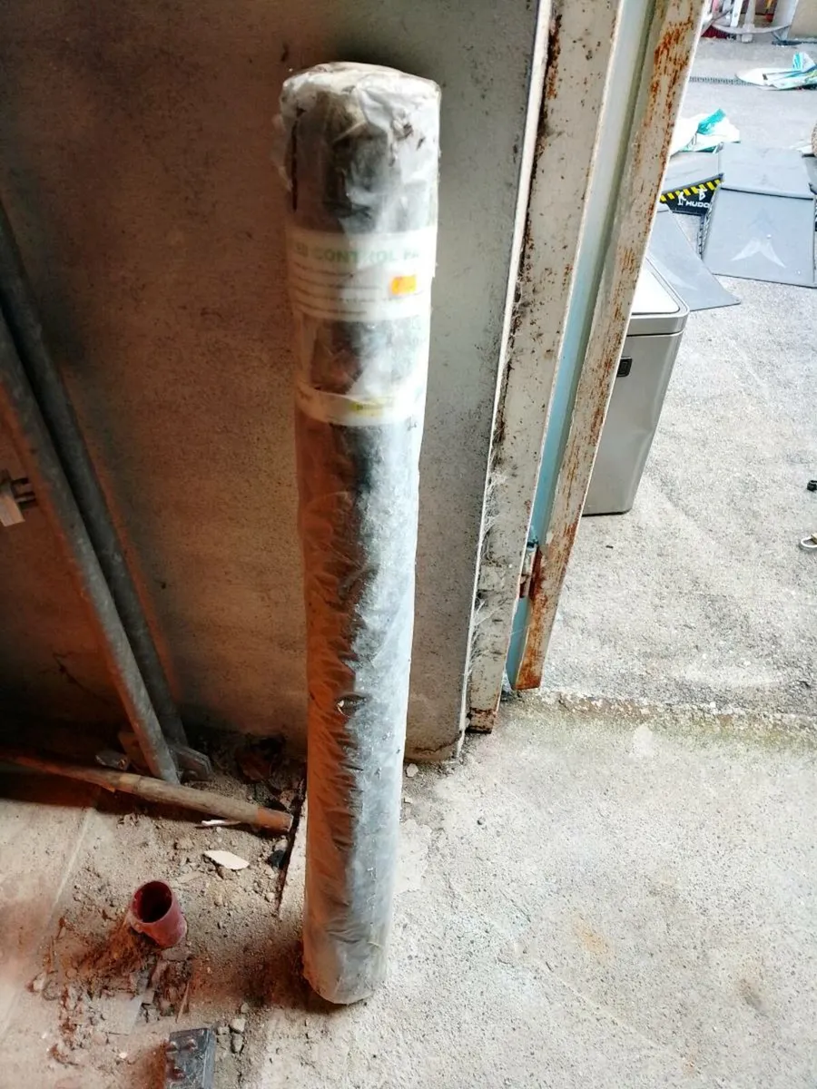 Shed clear out - Image 2