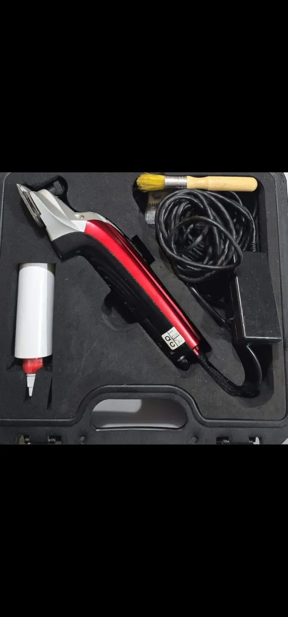 Black Beauty Clippers