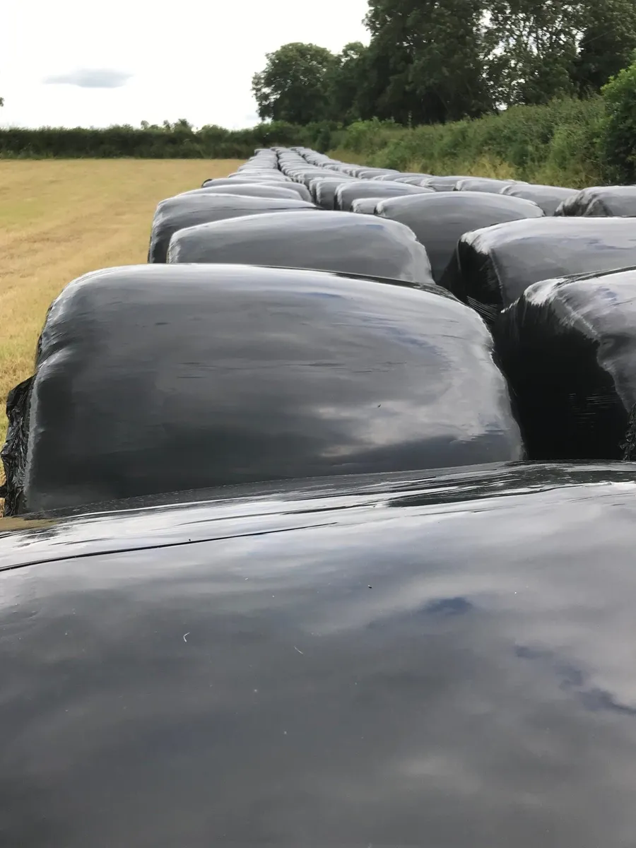 Baled silage - Image 1