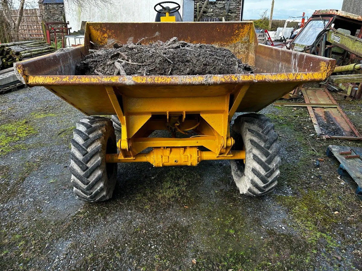 3 ton dumper - Image 2