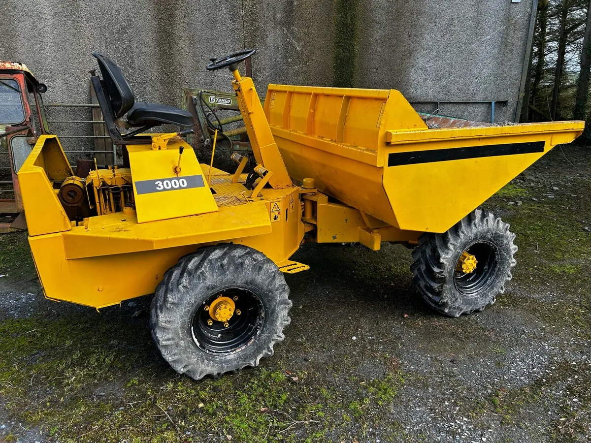 3 ton dumper - Image 3