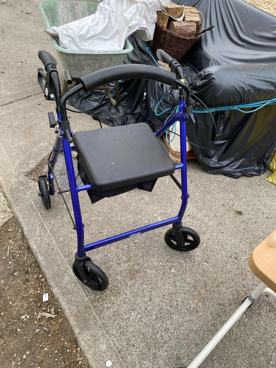 Mobility walker - Image 1
