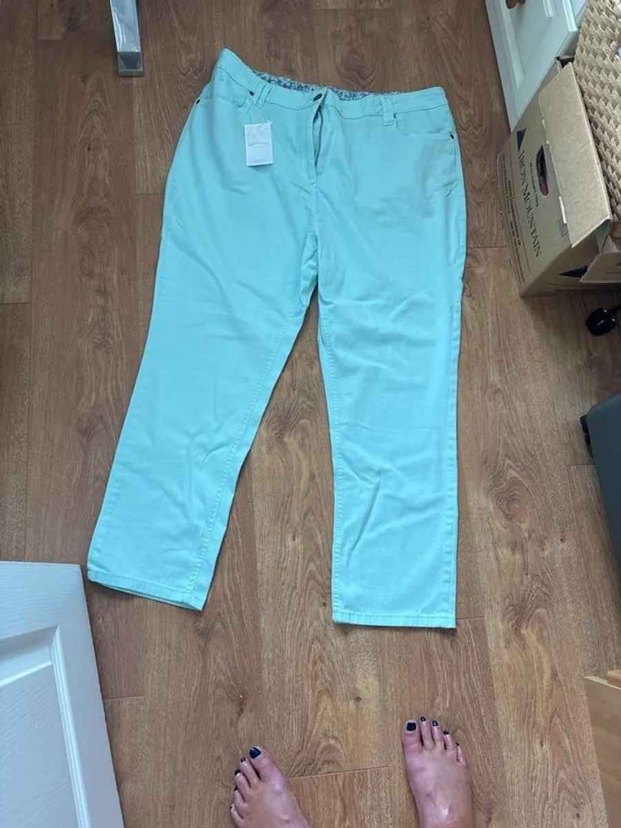 Brand New with Tag Anthology Jeans - Image 1