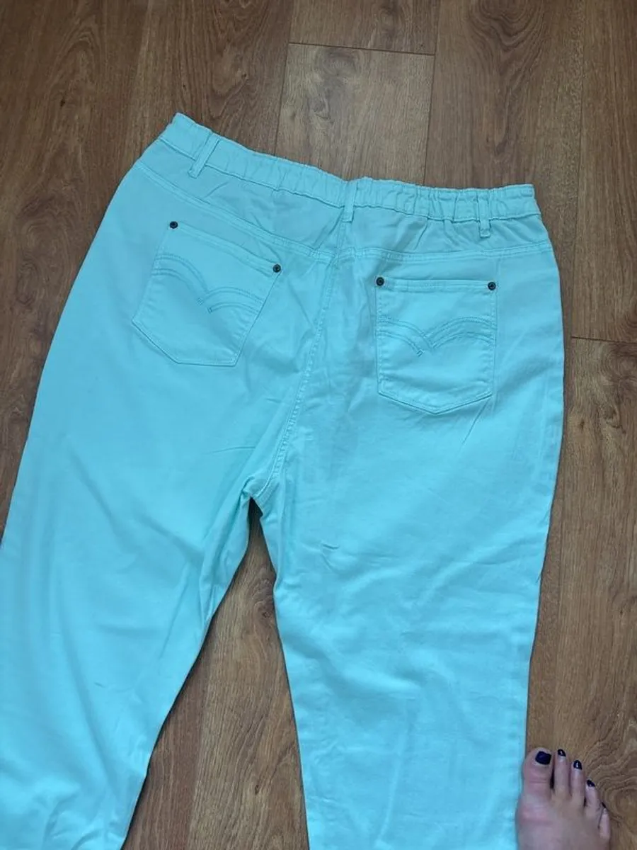 Brand New with Tag Anthology Jeans - Image 3