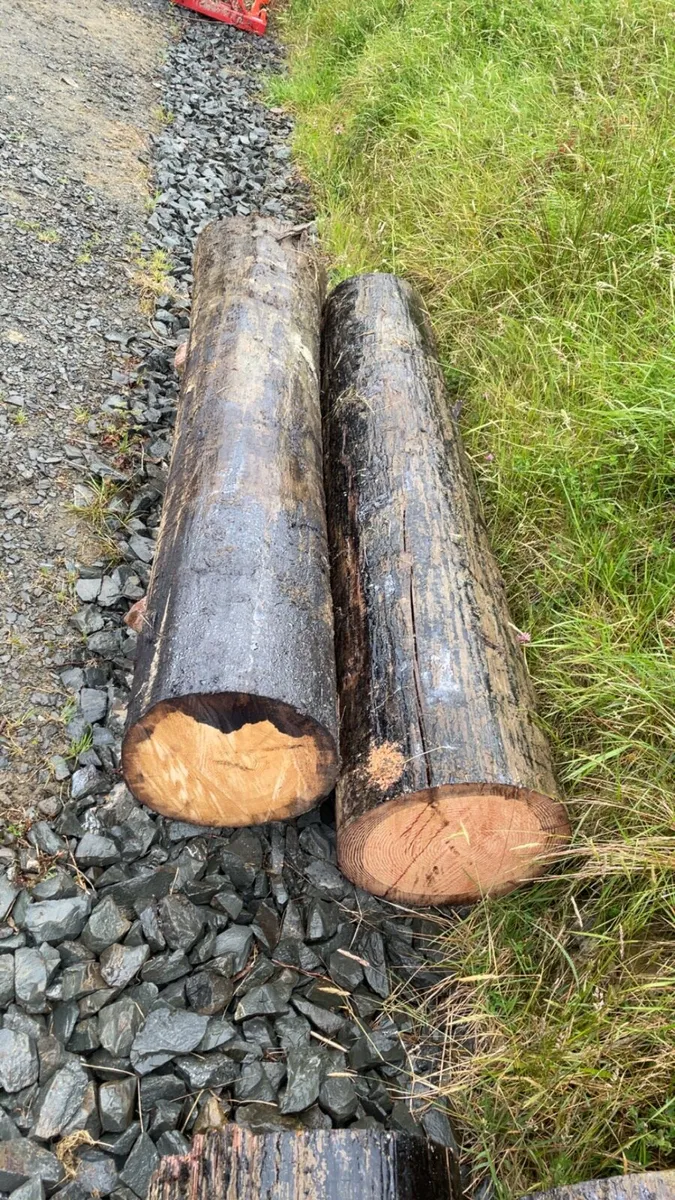 ESB Poles - Image 3