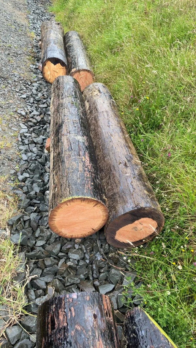 ESB Poles - Image 4