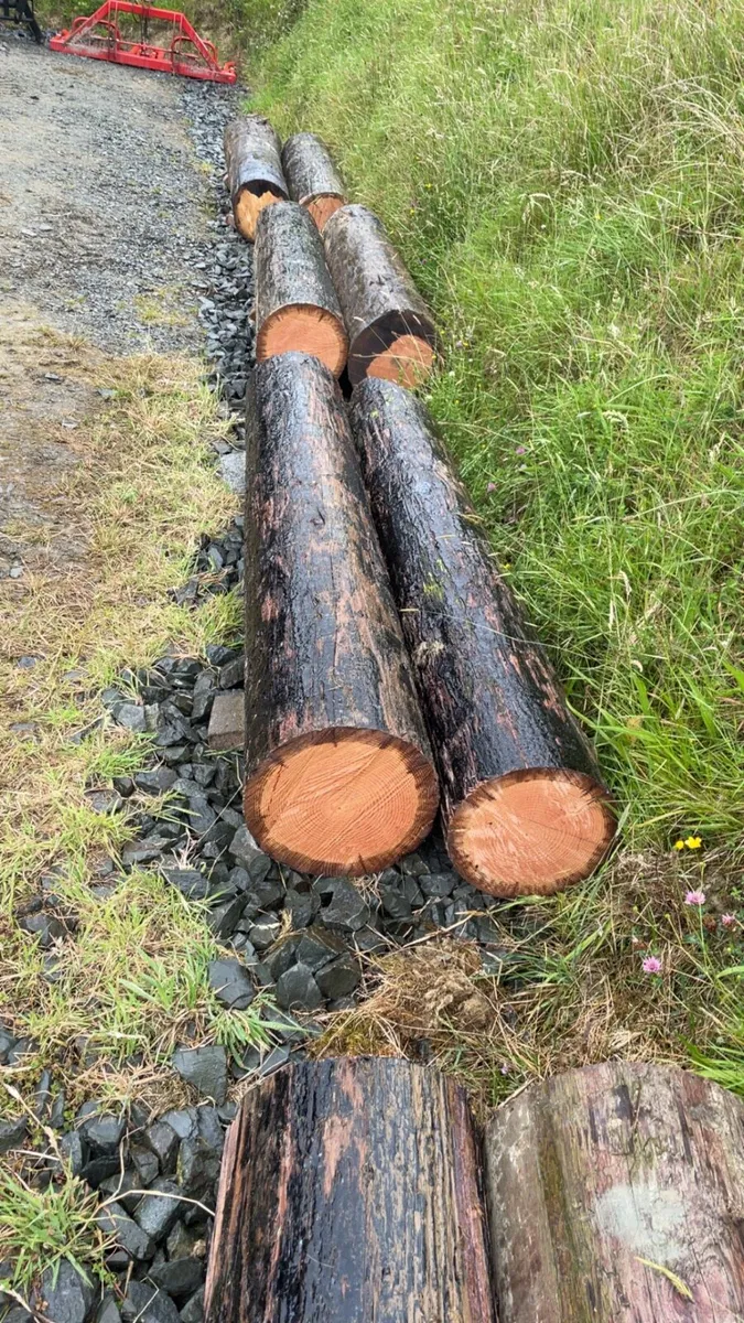 ESB Poles - Image 1