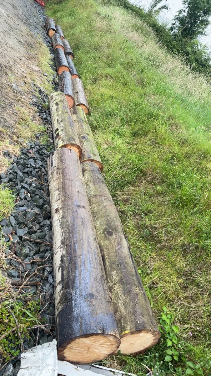 ESB Poles - Image 2