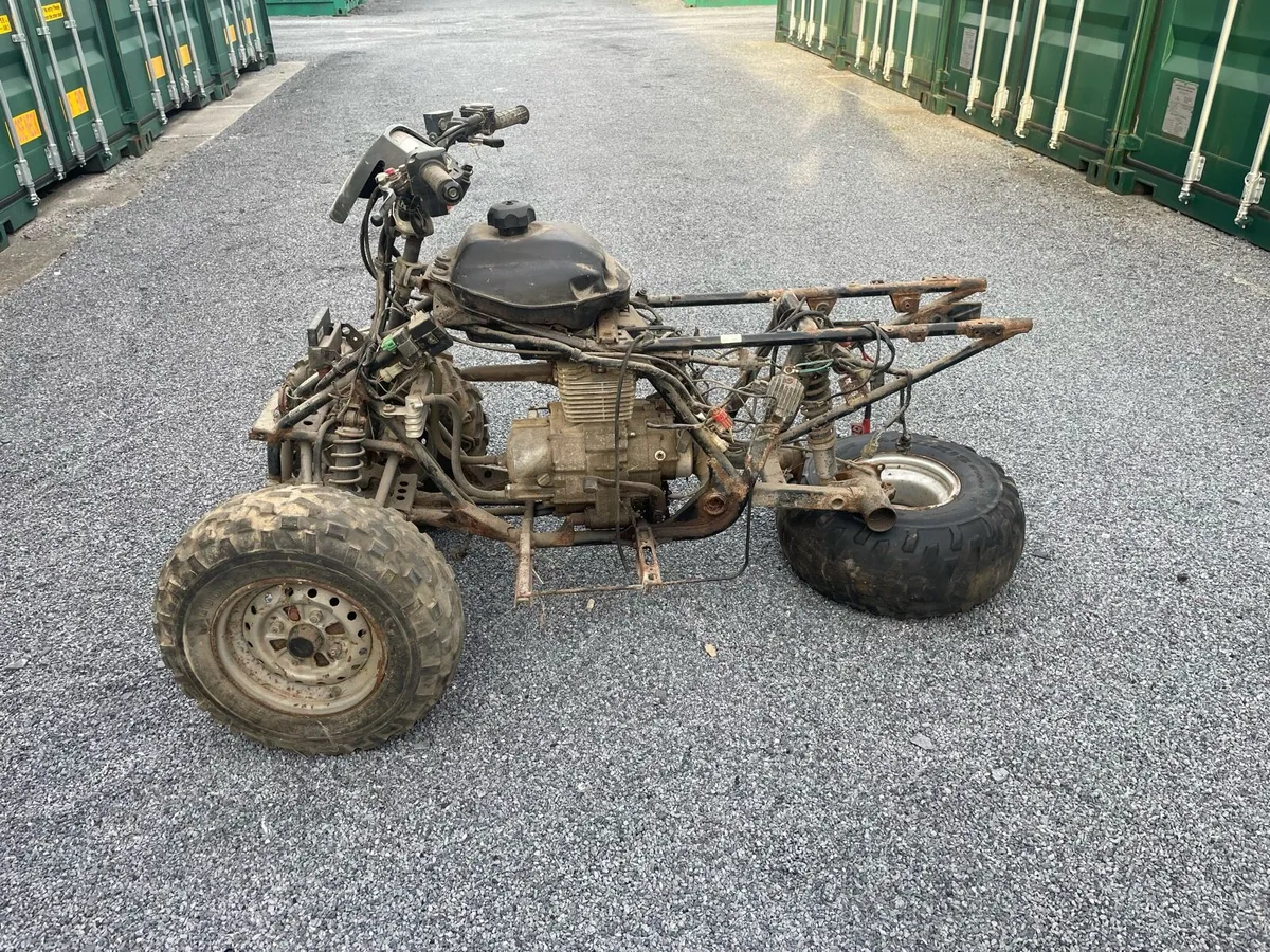 Honda TRX 250 - Image 2