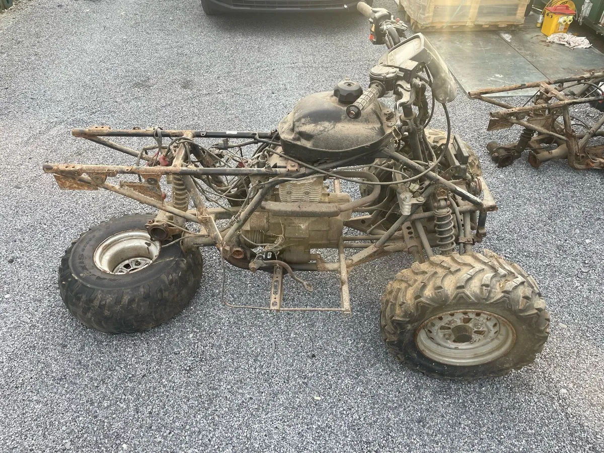 Honda TRX 250 - Image 3