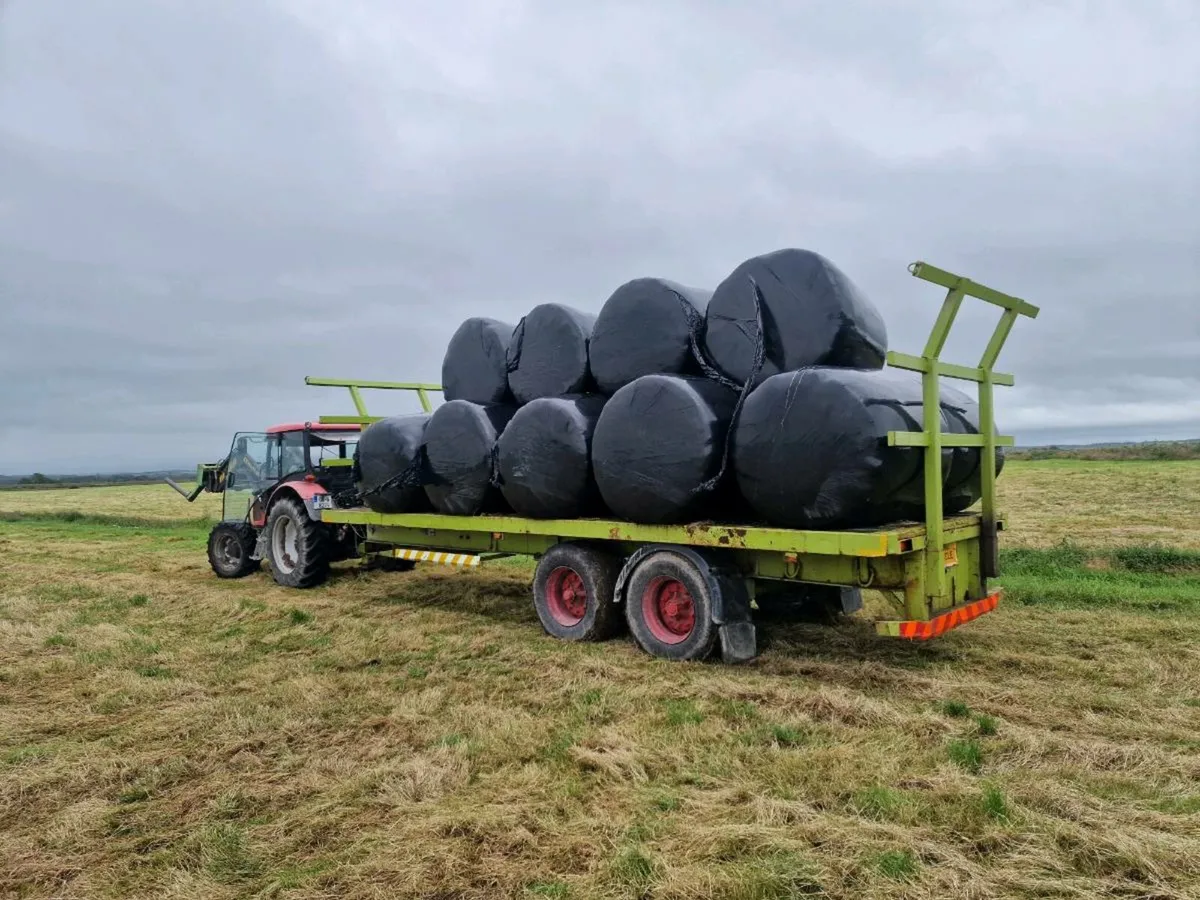 Round Bales - Image 3