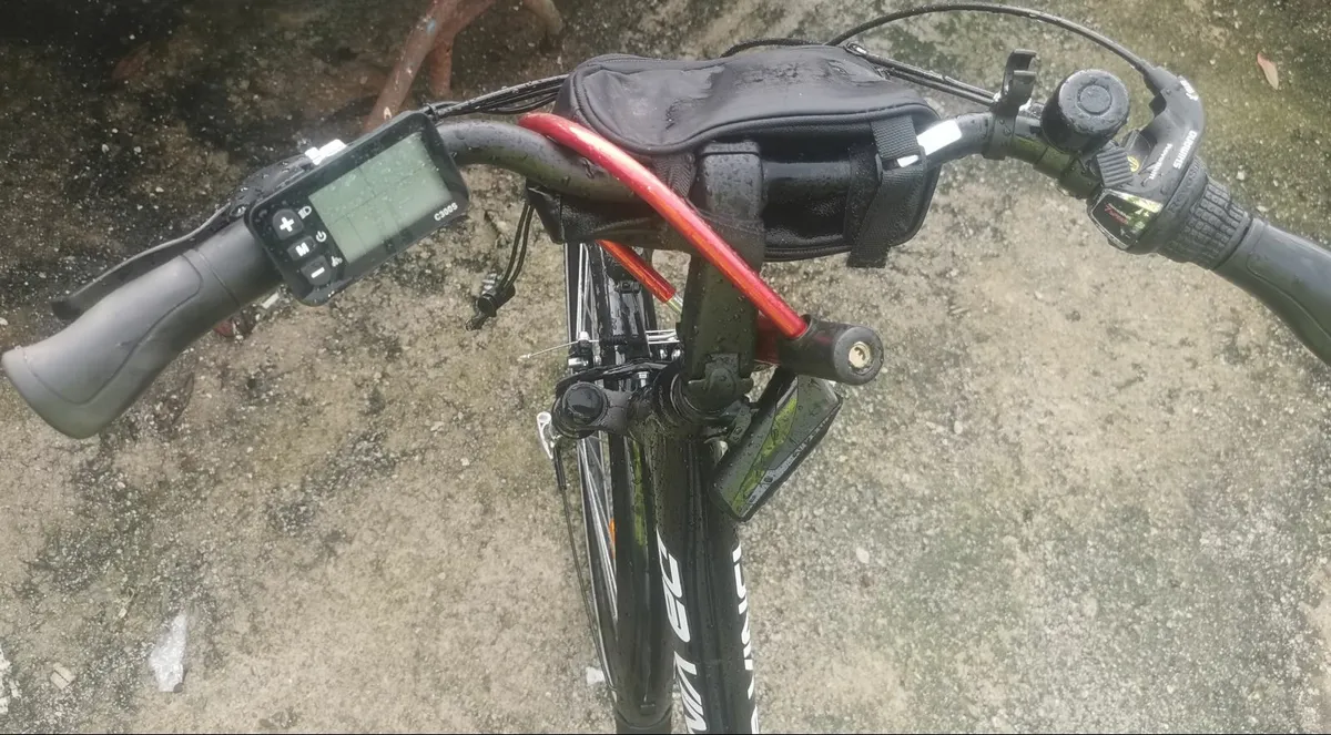 Da Vinci E bike - Image 2