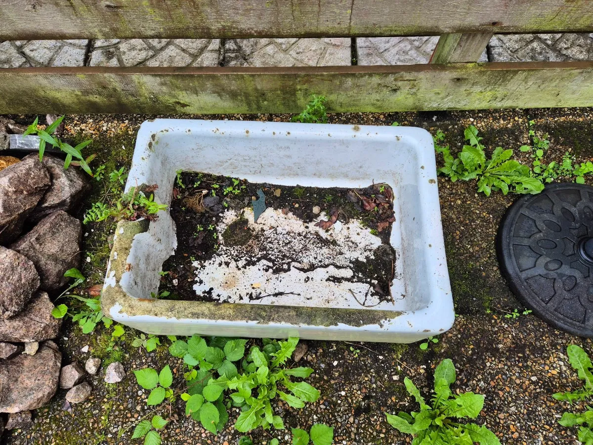 Belfast Sink used as Planter