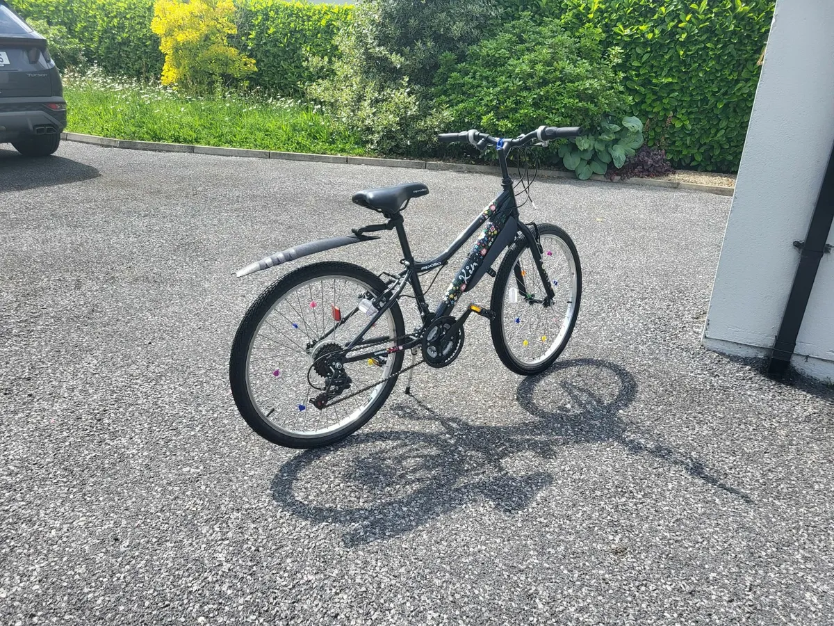 Bicycle - Image 4