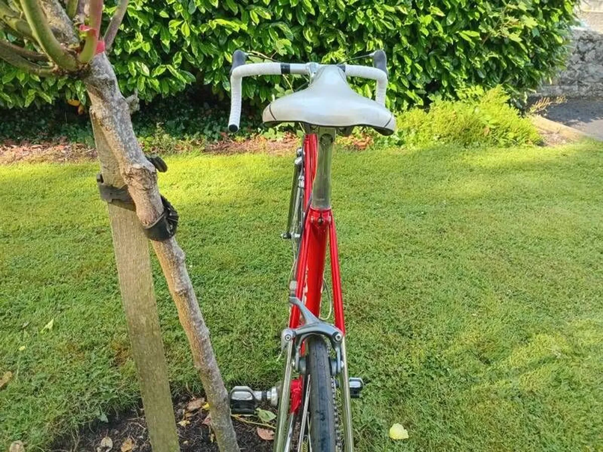 Cougar Road Bike 54 cm 9.3 kg, 8 sp - Image 4