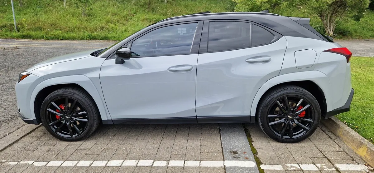 2021 Lexus UX 300e TAKUMI Pack, 360° View Cameras - Image 4