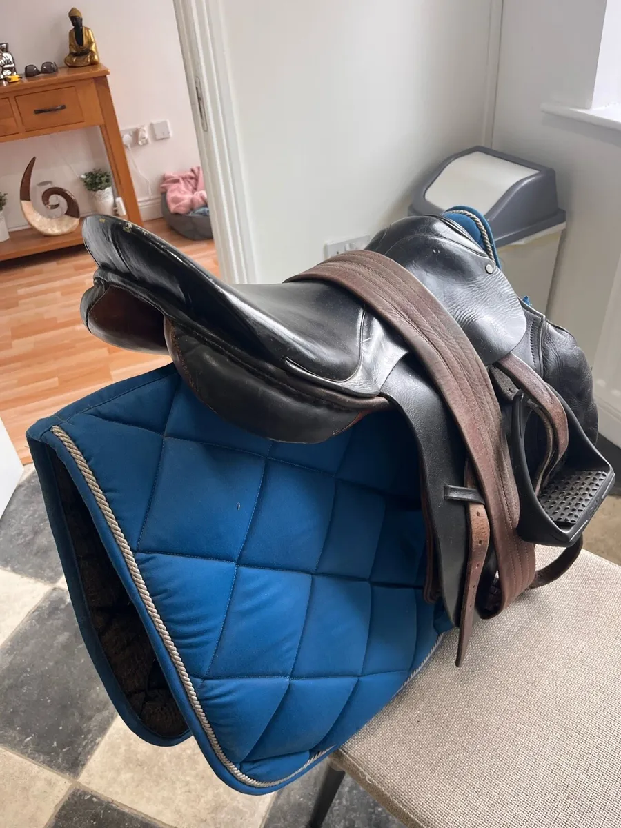 17 inch jumping saddle - Image 2