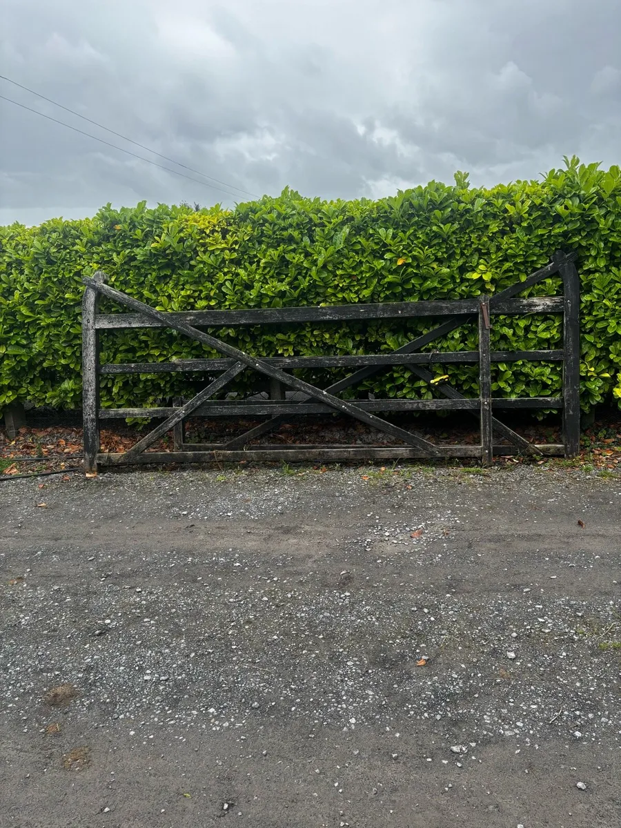 Timber Gates - Image 1