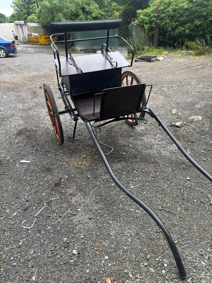 Fenix cart - Image 2