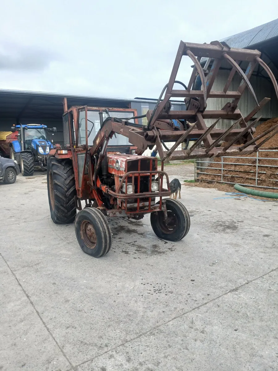 Massey ferguson - Image 4
