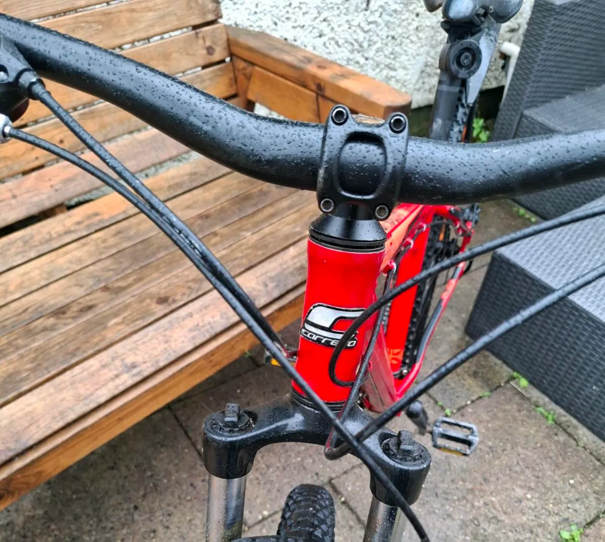 Carrera Hellcat - Image 4
