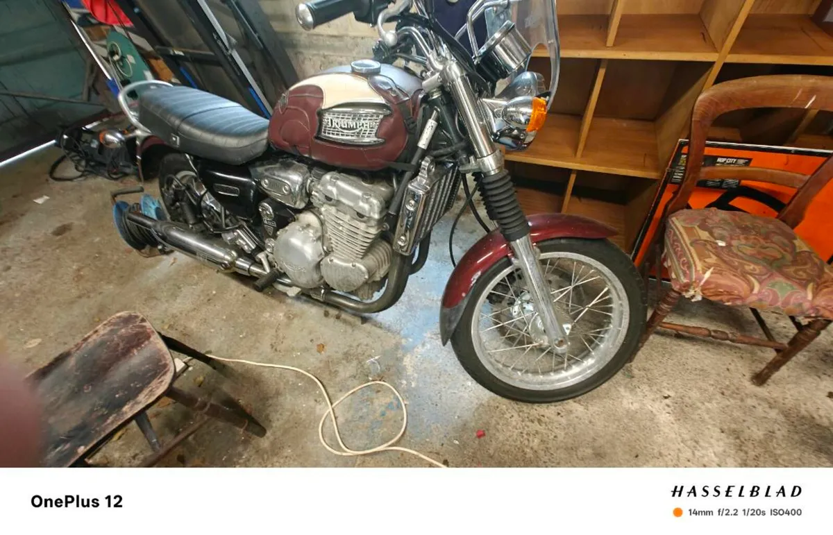 Triumph Thunderbird 900 - Image 1