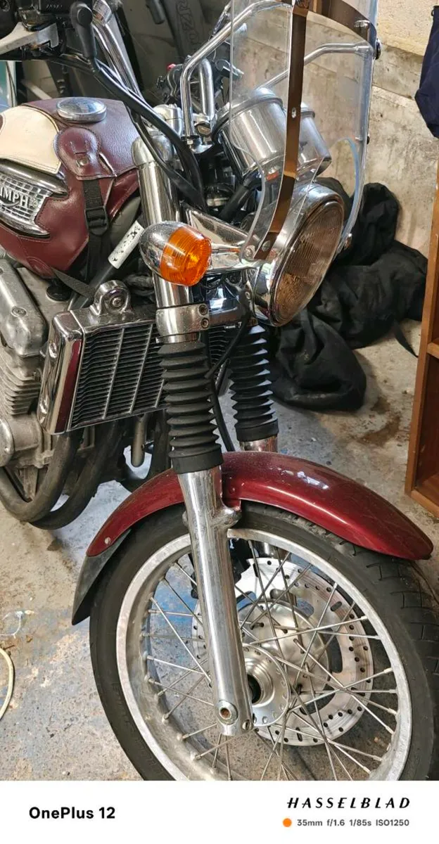 Triumph Thunderbird 900 - Image 2