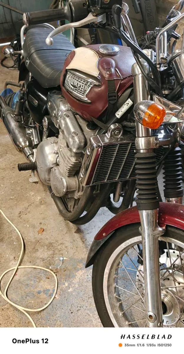 Triumph Thunderbird 900 - Image 3