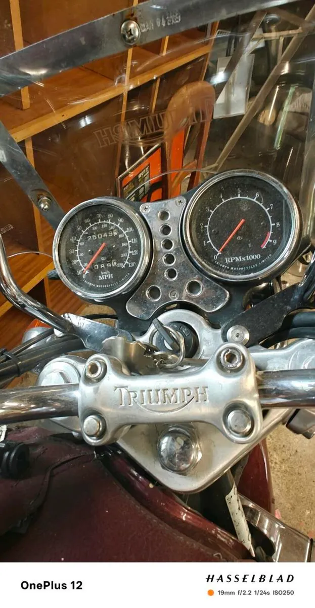 Triumph Thunderbird 900 - Image 4